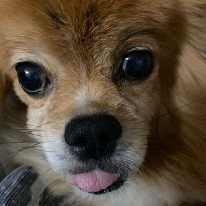 Meet your Posher, Kaye